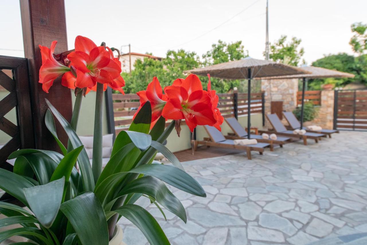 Villa Filyra กาโตกัตซา ภายนอก รูปภาพ